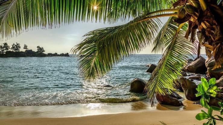 Baga Beach Palms Екстер'єр фото